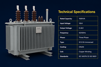 Transformateur immergé dans l'huile à enroulement en cuivre entièrement scellé S13 160 kVA 10 kV/0,4 kV triphasé à économie d'énergie certifié CE IEC 60076 ISO 9001