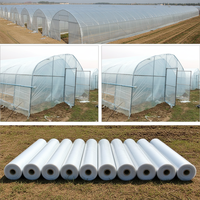 Rouleau de film plastique anti-UV anti-goutte pour serre, pour tomates et légumes, en PE moulé par soufflage