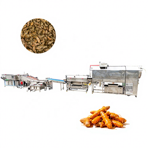 Équipement de lavage et de pelage continu automatique motorisé pour légumes et fruits, destiné aux usines ou lignes de transformation alimentaire - Product Image 1