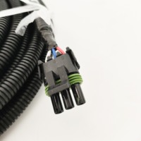 Maßgefertigtes Kabel für Batteriestecker-Verkabelungsset