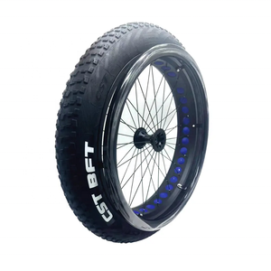 Ruota per Carrozzina da Spiaggia 24"x4.0" con Pneumatico Largo, Ruote Larghe da 24'' per Carrozzina da Neve, Articoli di Fabbrica in Stock, Ricambi per Carrozzine HEALING - Product Image 4