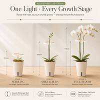 Ensemble cadeau d'orchidées modernes SP10, jardinière intelligente électronique à arrosage automatique avec lumière de croissance dans un coffret cadeau de Noël pour une utilisation à domicile