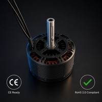 RT10040-60A 100mm Outrunner BLDC מנוע 48V 60V 60KV 80KV 2800W 3800W 2880RPM 3660RPM 28Nm הנעת מסוע תעשייתי OEM