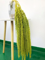 Décoration de mariage blanche et articles de décoration intérieure : Fleurs suspendues de luxe en amaranthus hypochondriacus préservé, fleurs séchées