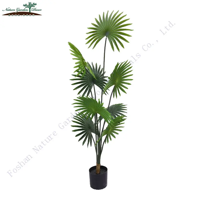 Plante de palmier de jardin naturel en gros, décoration de maison de salon, arbre artificiel pour intérieur