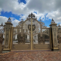 Porte principale européenne moderne d'intérieur en fer forgé pour les maisons Porte métallique en acier inoxydable et aluminium pour l'extérieur des bâtiments de jardin