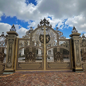 Porte principale européenne moderne d'intérieur en fer forgé pour les maisons Porte métallique en acier inoxydable et aluminium pour l'extérieur des bâtiments de jardin - Product Image 3