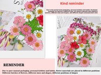 G151 Nouvelle arrivée Fleurs naturelles séchées pressées colorées botaniques pour le bricolage en résine Nail Art Wedding