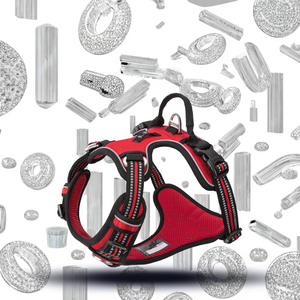 Áo phao cho chó tùy chỉnh, thoải <span class=keywords><strong>m</strong></span>ái, thoáng khí, có thể điều chỉnh, phản quang an toàn ban đê<span class=keywords><strong>m</strong></span>, lưới thoáng khí, nylon chắc chắn, đơn giản, không bị kéo thắt cổ - Product Image 3