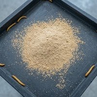 Supplément nutritionnel Poudre de protéine de ver de farine pour friandises pour animaux de compagnie