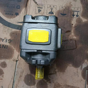 Pompe à engrenages interne hydraulique série CP0 CP1 CP2 CP1-63-P-10R-36 CP1-50-P-10R-36 CP1-25/32/40/50/63-P-10R-36 - Product Image 1