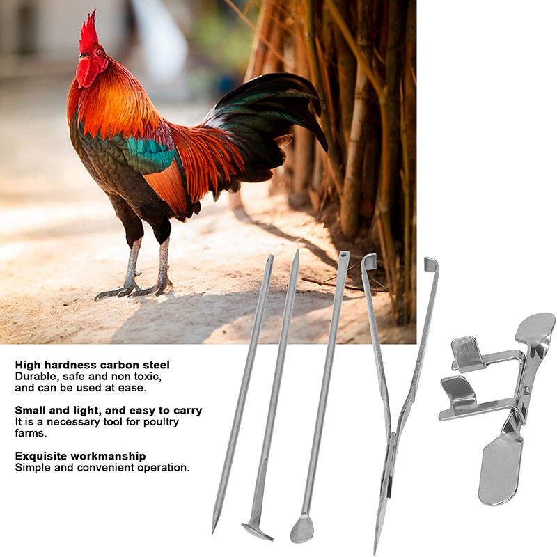 Kit D'outils De Couteau à Chapon En Acier Inoxydable, Instrument Vétérinaire Pour Une Gestion Douce Du Poulet Dans Les Fermes Avicoles