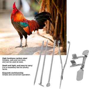 Capón de pollo de acero inoxidable, herramientas de castración, suministros para granja, Gallo - Product Image 5