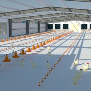 Equipo automatizado de aviarios de pollos Nueva condición <span class=keywords><strong>Bebederos</strong></span> y <span class=keywords><strong>comederos</strong></span> de pollos de engorde <span class=keywords><strong>para</strong></span> granja avícola - Product Image 1