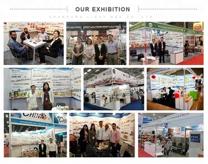 Nouvelle Conception 2026 : Ligne de Production de Galettes de Riz Soufflées et de Crackers - Product Image 6