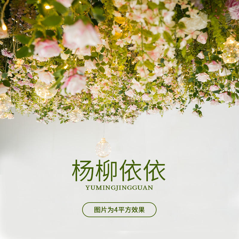 Filet de fer Yangliuyiyi