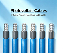 Cable Solar de Cobre Estañado de Alto Rendimiento |   0.6/1kV DC1500V Nominal |   Aislamiento XLPO LSZH Retardante de Llama |   Baja Resistencia IP65