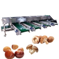 Boerderijgebruik RVS sorteermachine kastanje sorteermachine gatband type champignon sorteermachine