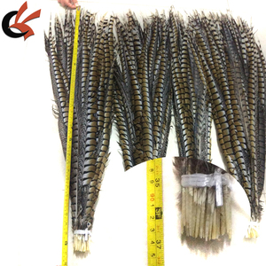 Vente en gros Reeves Big Pheasant Feathers Long Ringneck Pheasant Tail Teint pour Carnaval <span class=keywords><strong>Samba</strong></span> Performance Dress Ramadan Graduation - Product Image 2