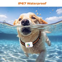 Traceur GPS pour animaux de compagnie étanche IP67, dispositif de suivi intelligent pour chiens et chats, clôture électronique GSM LBS AGPS, navigation, livraison rapide