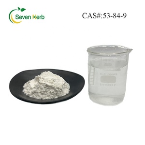 99% <span class=keywords><strong>nicotinamide</strong></span> adenine dinucleotide NAD + CAS 53-84-9 beta-<span class=keywords><strong>nicotinamide</strong></span> adenine dinucleotide cho mỹ phẩm cấp - Product Image 3