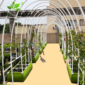 Bac à légumes <span class=keywords><strong>surélevé</strong></span> divisé pour jardin, <span class=keywords><strong>en</strong></span> tissu feutre, bac à plantation <span class=keywords><strong>surélevé</strong></span> <span class=keywords><strong>carré</strong></span>, conteneur de plantation, sac de culture, pot de plantation - Product Image 4