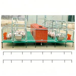 Convient à divers scénarios d'élevage de porcs et de cages de mise bas pour porcs avec livraison rapide pour les fermes mondiales - Product Image 1