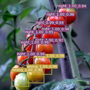 Robot Colaborativo de Última Generación para la Cosecha de Tomates en Laboratorios con Nuestro Modelo de Lenguaje Visual Autodesarrollado - Product Image 4