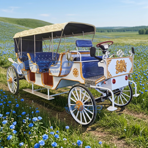 2026 Carrosse de chevaux en bois bleu simple pour mariages et visites touristiques / Carrosse de mariages et de visites touristiques / Carrosse de visites touristiques classique à vendre - Product Image 1