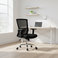 Chaise de bureau exécutive en maille, design ergonomique avec soutien lombaire réglable, pivotante pour bureau professionnel et médical