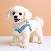 Harnais et laisse ajustables pour petits animaux de compagnie, style gilet, avec logo personnalisé, pour chats et chiens