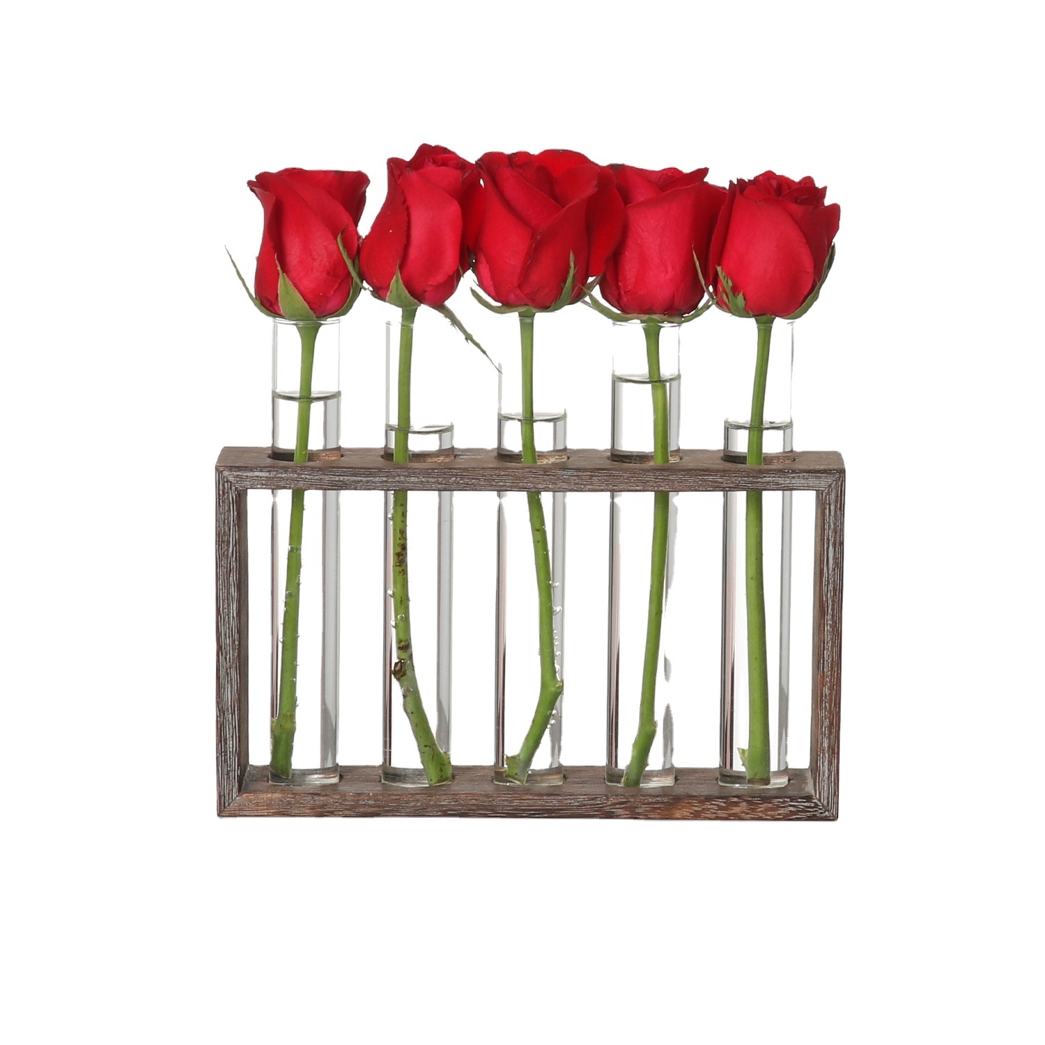 New design desktop decoration Minimalist clear glass Hydroponics flower vase