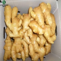 Nouvel ail frais de Chine de Shandong gingembre en gros graines de Chine pour la plantation d'ail frais