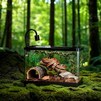 Terrarium de Luxe Isolant Thermiquement pour Serpents de Maïs, Gecko Léopard, Tortues et Grenouilles Cornées – Idéal pour Bureau et Domicile