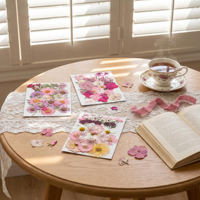 Ensemble de fleurs séchées pressées mélangées avec variétés assorties, matériel de bricolage pour la fabrication de sous-verres en résine, de bougies et la décoration intérieure