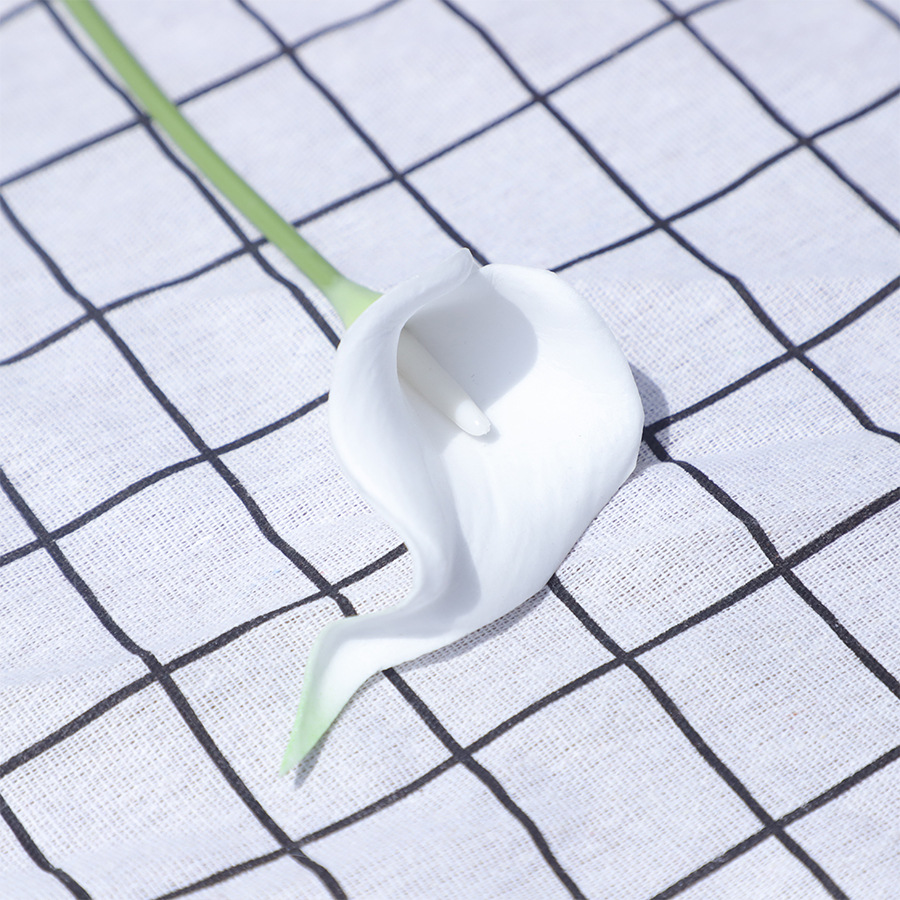 Noyau blanc W-aa-01-queue verte blanche