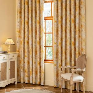 Rideaux imprimés occultants complets à motif de dessin animé moderne Simple nordique pour chambre et salon Format de printemps pour hôtels - Product Image 4