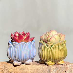 Macetas de Cerámica Transpirables de Cerámica Gruesa para <span class=keywords><strong>Suculentas</strong></span>, de Calibre Mediano <span class=keywords><strong>y</strong></span> Pequeño, para Lithops, <span class=keywords><strong>Suculentas</strong></span> Maduras <span class=keywords><strong>y</strong></span> Echeveria Ice Green - Product Image 4