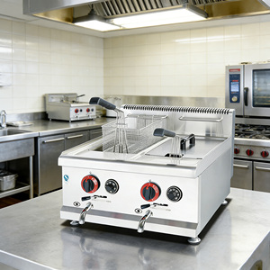 Friteuse industrielle à gaz double cuve 14L+14L pour frites, design relevable, pour comptoir, conforme aux normes alimentaires commerciales - Product Image 2