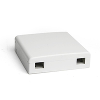 Boîte de terminaison de fibre Rosset murale intérieure à 2 ports Boîte de fibre à 2 noyaux