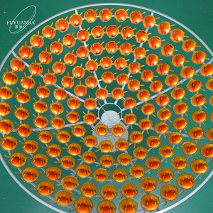 Lentes de Vidrio FUYUANDA 2024, Nueva Alta Calidad al Mejor Precio, para Gafas de Visión Polarizada - Product Image 2