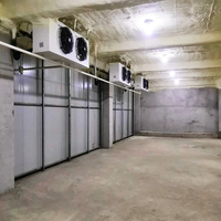 Cámara Frigorífica de Gran Capacidad Daikin Copeland de Bajo Consumo para Bebidas y Flores con Dimensiones Personalizables