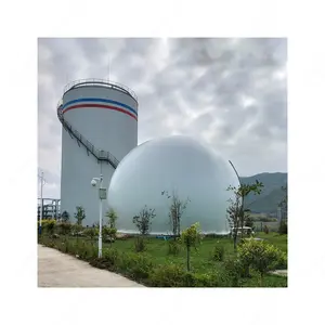 PVC soft biogas storage balloon biodigestor septic supplier for customised