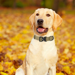 ビッグドッグハーネスナイロン<span class=keywords><strong>2025</strong></span>,カスタマイズされたペット犬用ハーネス高品質と高級スタイル - Product Image 2