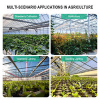Lampes de culture LED étanches à spectre complet UV IR 250W haute puissance 3000K 5000K pour la culture de plantes d'intérieur