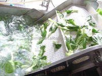 Groentekruid Zeewier Bubbel Wasmachine Industriële Reinigingsmachine Voedsel Bubble Wasmachine