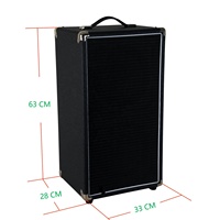 Speaker Bass gitar elektrik hitam kualitas tinggi speaker Bass gitar elektrik amplifier gitar MICRO-CL/BA-100