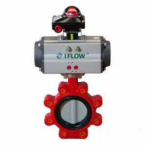 DN40-DN600 CI DI Wafer/lug/double Flange/U /groove-end Type Butterfly Valve