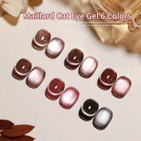 6 couleurs 10ml Maillard Highlight Cat Eyes Gel magnétique vernis à ongles 9d Silk Cateye Gel Aurora Shell Thread Cateye Gel