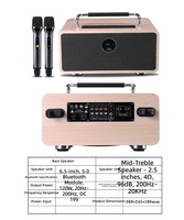 Amplificateur KTV portable personnalisé pour la maison, enceinte de karaoké en bois avec 2 micros sans fil, entrée multimédia